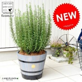 <br><br>�������ޥ꡼ ���åɥХ�� �ץ�󥿡� �ʳ����� <br>Ω�� ȭ���� �� ���� �������ޥ� �ϡ��� �ϡ��� <br>�����ץ�󥿡� �� ���졼 �����䥷�ե����С� ���տ�ʪ ����̵��