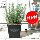 <br><br>�������ޥ꡼ �ۥ磻�ȥ����� ���� ���������� �֥ꥭ�ݥå� <br>ȭ �� �� �֥�å� �ͳ� �������� �� ���� Ω�� ���տ�ʪ <br>Ω�� ȭ���� �� ���� �������ޥ� �ϡ��� �ϡ��� ����̵��