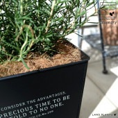 <br><br>�������ޥ꡼ �ۥ磻�ȥ����� ���� ���������� �֥ꥭ�ݥå� <br>ȭ �� �� �֥�å� �ͳ� �������� �� ���� Ω�� ���տ�ʪ <br>Ω�� ȭ���� �� ���� �������ޥ� �ϡ��� �ϡ��� ����̵��