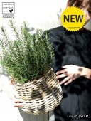 <br><br>�������ޥ꡼ �ݤäƤ�İ����ʼ꿥��Х����åȡ� �Х롼�� ȭ���С� <br>Ω�� ȭ���� �� ���� �������ޥ� �ϡ��� �ϡ��� <br>���� ���� �Х����å� �饿�� �� ϶ �� �֥饦�� �١����� �����䥷�ե����С�