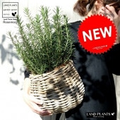 <br><br>�������ޥ꡼ �ݤäƤ�İ����ʼ꿥��Х����åȡ� �Х롼�� ȭ���С� <br>Ω�� ȭ���� �� ���� �������ޥ� �ϡ��� �ϡ��� <br>���� ���� �Х����å� �饿�� �� ϶ �� �֥饦�� �١����� �����䥷�ե����С�