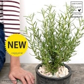 <br>�������ޥ꡼ ���� �⥹�ݥå� ���������� ƫ��ȭ��ŷ�����С�������� <br>�ϡ��� �ϡ��� ��̣ ���� �Ѿ��� <br>ȭ���� ȭ �Ǿ� �ƥ饳�å� <br>�� �֥�å� �� �ݷ� <br>���տ�ʪ ��ʪ ����̵�� �����������