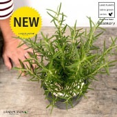 <br>�������ޥ꡼ ���� �⥹�ݥå� ���������� ƫ��ȭ��ŷ�����С� <br>�ϡ��� �ϡ��� ��̣ ���� �Ѿ��� <br>ȭ���� ȭ �Ǿ� �ƥ饳�å� <br>�� �֥�å� �� �ݷ� <br>���տ�ʪ ��ʪ ����̵�� �����������