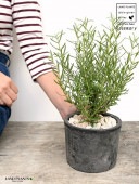 <br>�������ޥ꡼ ���� �⥹�ݥå� ���������� ƫ��ȭ��ŷ�����С�������� <br>�ϡ��� �ϡ��� ��̣ ���� �Ѿ��� <br>ȭ���� ȭ �Ǿ� �ƥ饳�å� <br>�� �֥�å� �� �ݷ� <br>���տ�ʪ ��ʪ ����̵��