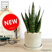 <br><br>���󥹥٥ꥢ�ʥǥ�����ƥ��� ������ ���������� ƫ��ȭ ������ <br>ȭ���� ȭ �� ���� �ʤ� ���տ�ʪ �ǥ�����ƥ� �ꥶ��ƥ��� �ǥ�����ƥ� <br>�� ���� ���졼 �ͤ��� �� �饦��� �ȥ�Υ� �פ��� ����̵��