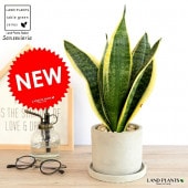 <br><br>���󥹥٥ꥢ �ʥ��������� ������ ���������� ƫ��ȭ��ŷ�����С�������������� <br>ȭ���� ȭ �� ���� �ʤ� ���տ�ʪ �������ƥ� �������ƥ��� <br>�� ���� ���졼 �ͤ��� �� �饦��� �ȥ�Υ� �פ��� ����̵��