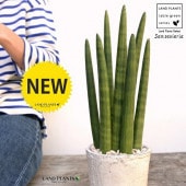 <br>���󥹥٥ꥢ�ʥ����å����� �� �⥹�ݥå� ���������� ƫ��ȭ��ŷ�����С� <br>���󥻥٥ꥢ ��奦���ĥ�� <br>ȭ���� ȭ �Ǿ� �ƥ饳�å� <br>�� �ۥ磻�� ����ƥ������ۥ磻�� �� �ݷ� <br>���տ�ʪ ��ʪ ����̵��