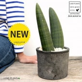 <br>���󥻥٥ꥢ�ʥ��Х��� ���� �⥹�ݥå� ���������� ƫ��ȭ��ŷ�����С� <br>���󥹥٥ꥢ ��奦���ĥ�� ���� ���� <br>ȭ���� ȭ �Ǿ� �ƥ饳�å� <br>�� �֥�å� �� �ݷ� <br>���տ�ʪ ��ʪ ����̵��