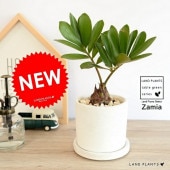 <br><br>���ߥ� �ʥץߥ�� �� ���������� ƫ��ȭ <br>�ҥ��ϥ��ߥ����ᥭ�������ƥġ����տ�ʪ <br>ȭ���� ȭ �� ���� �ʤ� <br>�� �ۥ磻�� ���꡼�� �� �饦���