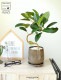 <br><br>�ե�󥹥�������նʤ���� �١����忧 ����夭�Τ��� ƫ��ȭ��ŷ�����С�������������� <br>�ե�������ӥ��Ρ��� ��ӥ��Ρ��� ��ӥ��Ρ��� ���� ������� �ե����� <br>�֥饦�� �㿧 ���� ���� ���졼 �饦��� ƫ�� ����̵��