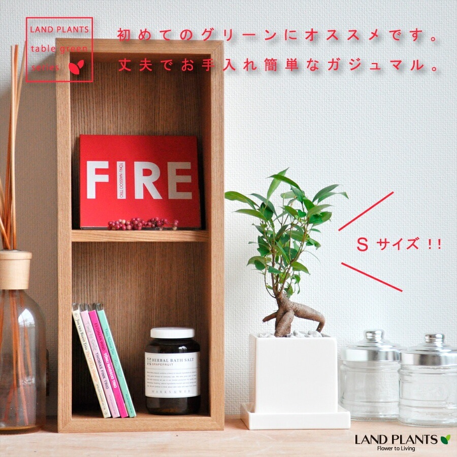 <br><br>����̵�� ��ʡ��⤿�餹 ��������� ������ޥ� �� ���塼��ƫ�� SS������ �ڤڥ֥롦������������� <br> �뺧�� ξ�� ��ǰ�� ��£�� ξ��£�� �ߥ� �ͻ�  ���տ�ʪ ����ƥꥢ ���ե� �������ץ쥼��� ���� ���� �࿦�ˤ� ��ǯ ���ˤ� �� ��