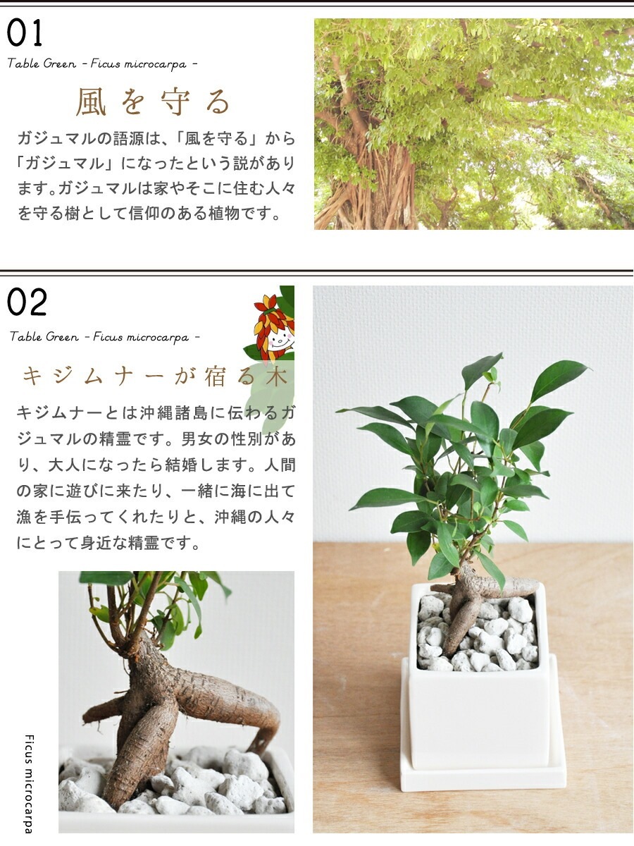 <br><br>����̵�� ��ʡ��⤿�餹 ��������� ������ޥ� �� ���塼��ƫ�� SS������ �ڤڥ֥롦������������� <br> �뺧�� ξ�� ��ǰ�� ��£�� ξ��£�� �ߥ� �ͻ�  ���տ�ʪ ����ƥꥢ ���ե� �������ץ쥼��� ���� ���� �࿦�ˤ� ��ǯ ���ˤ� �� ��