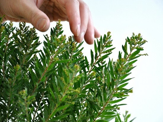 <br><br>�ڴ����ۥ��������ʥƥ쥵�ˣ��桡�������������ƥ쥵<br>�����β� �ϥʥ������� ȭ���� ���ե�������<br>�ơ��֥�ߥ⥶ �ߥ⥶���������������������� ���տ�ʪ