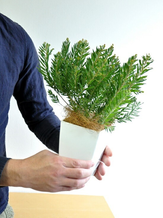 <br><br>�ڴ����ۥ��������ʥƥ쥵�ˣ��桡�������������ƥ쥵<br>�����β� �ϥʥ������� ȭ���� ���ե�������<br>�ơ��֥�ߥ⥶ �ߥ⥶���������������������� ���տ�ʪ