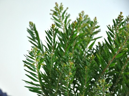 <br><br>�ڴ����ۥ��������ʥƥ쥵�ˣ��桡�������������ƥ쥵<br>�����β� �ϥʥ������� ȭ���� ���ե�������<br>�ơ��֥�ߥ⥶ �ߥ⥶���������������������� ���տ�ʪ