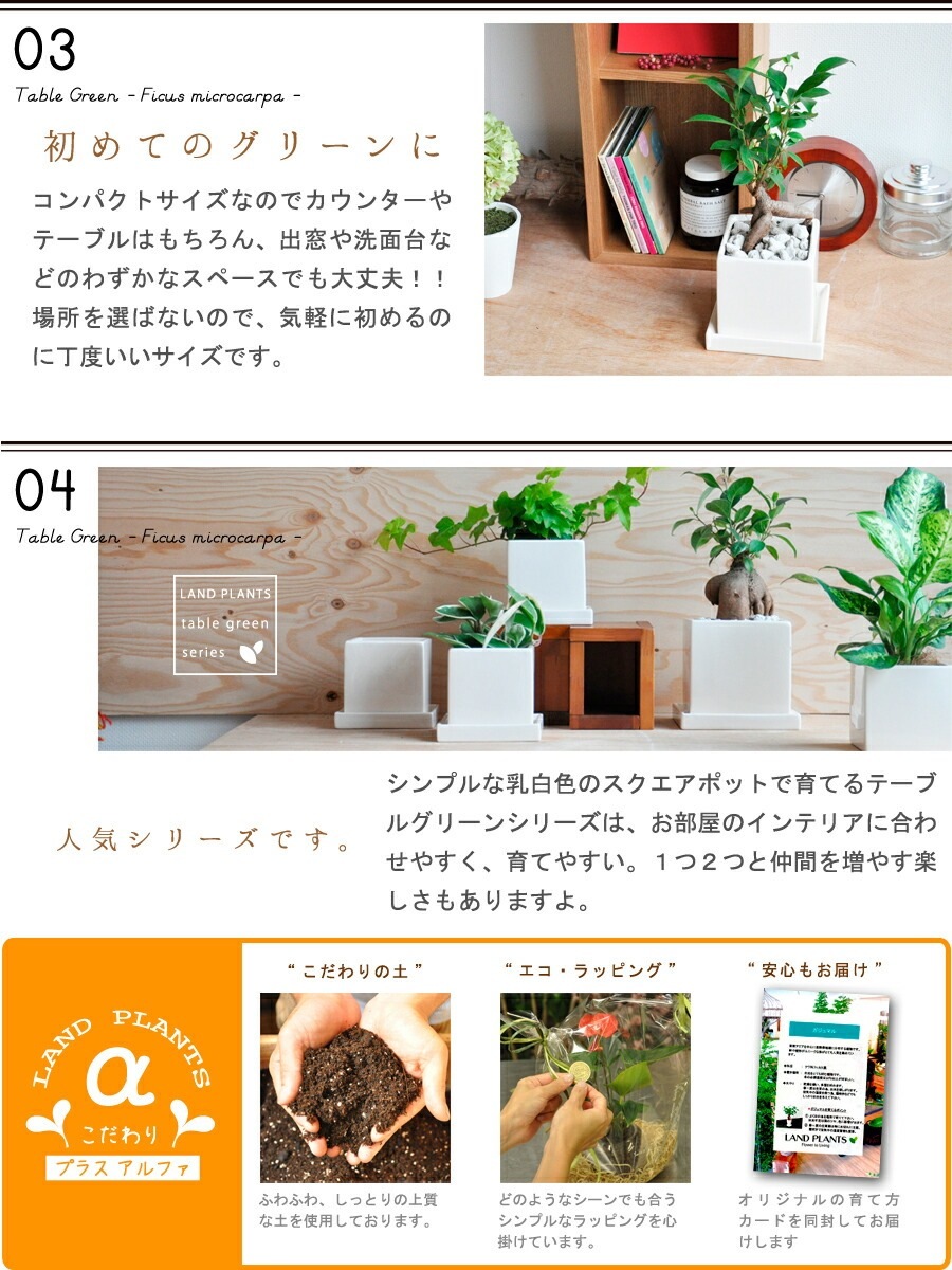 <br><br>����̵�� ��ʡ��⤿�餹 ��������� ������ޥ� �� ���塼��ƫ�� SS������ �ڤڥ֥롦������������� <br> �뺧�� ξ�� ��ǰ�� ��£�� ξ��£�� �ߥ� �ͻ�  ���տ�ʪ ����ƥꥢ ���ե� �������ץ쥼��� ���� ���� �࿦�ˤ� ��ǯ ���ˤ� �� ��