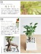 <br><br>����̵�� ��ʡ��⤿�餹 ��������� ������ޥ� �� ���塼��ƫ�� SS������ �ڤڥ֥롦������������� <br> �뺧�� ξ�� ��ǰ�� ��£�� ξ��£�� �ߥ� �ͻ�  ���տ�ʪ ����ƥꥢ ���ե� �������ץ쥼��� ���� ���� �࿦�ˤ� ��ǯ ���ˤ� �� ��