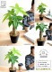 <br><br>�ڤ���� �ѥ��� �ʴ��������ס� ���� �ץ饹���å�ȭ 4�� <br>�����ѥ��� �������ƥ��� ȯ��� ������� ��������߽Ф��� <br>ȭ���� ȭ �� ���� ���տ�ʪ �� �֥�å� �� �饦���