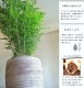 <br><br>���ޥȥͥꥳ �ǥ�������ɤ� �ƥ饳�å� ȭ���� �ʲ��ʡ� <br>��Ω�� �Ǿ� ƫ��ȭ ȭ �㿧 �� ������ �١����� <br>�� ���� �緿 8�� ���տ�ʪ