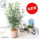 <br><br>���ޥȥͥꥳ �ǥ�������ɤ� �ƥ饳�å� ȭ���� �ʲ��ʡ� <br>��Ω�� �Ǿ� ƫ��ȭ ȭ �㿧 �� ������ �١����� <br>�� ���� �緿 8�� ���տ�ʪ