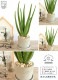 �������٥� ������ ���������� ƫ��ȭ <br>������ �٥� ȭ���� ȭ �� ���� ���տ�ʪ ����̵�� <br>���� �� ���졼 �ͤ��� �� �饦���