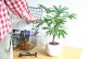 ���С��ե�å��� �� �ݷ� ƫ��ȭ <br>�ͥ���� �ͥ�Υ� ��������ͥ�Υ� <br>ƫ�� ȭ���� ȭ �� ���� ���տ�ʪ �ͥ�Υ� <br>�ۥ磻�� �� �饦��� �� �ݷ� ��ȭ