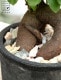 <br><br>������ޥ� �ʴ����� ���� �⥹�ݥå� ���������� �ƥ饳�å�ȭ <br>��ŷ�����С�������� ��ʡ��⤿�餹 ¿���μ� ���� ������ޤ���� �ͻ� <br>�Ǿ� ȭ���� ȭ �� ���� �֥�å� �� ���졼 ���տ�ʪ