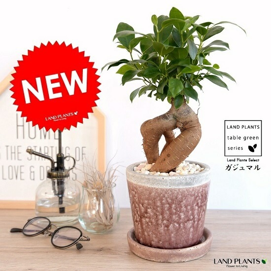 <br><br>������ޥ�ʴ��������ס� �䤵�������礤 ƫ��ȭ ���ֿ��� <br>ȭ���� ƫ��ȭ ȭ �� ���� <br>��å� �� �饦��ɡ����տ�ʪ ����̵��