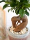 <br><br>������ޥ�ʴ��������ס� �䤵�������礤 ƫ��ȭ ���ֿ��� <br>ȭ���� ƫ��ȭ ȭ �� ���� <br>��å� �� �饦��ɡ����տ�ʪ ����̵��