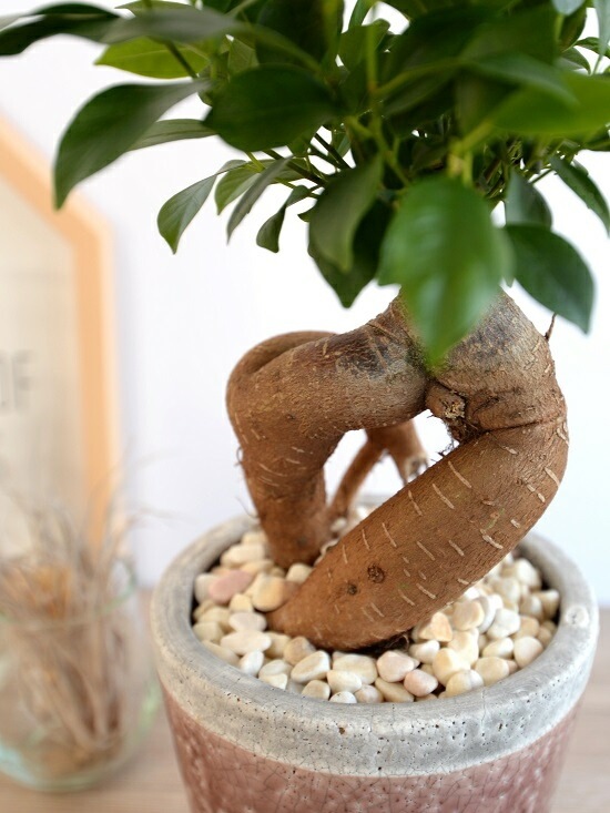 <br><br>������ޥ�ʴ��������ס� �䤵�������礤 ƫ��ȭ ���ֿ��� <br>ȭ���� ȭ �� ���� <br>��å� �� �饦��ɡ����տ�ʪ ����̵��