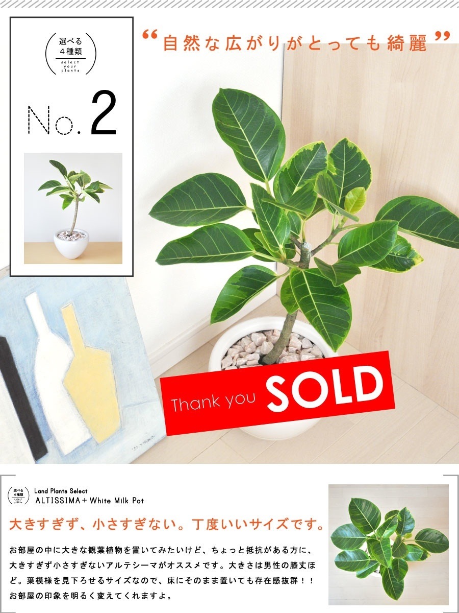 <br><br>����ƥ����� �� �������� �饦��� ƫ��ȭ <br>����ƥ��� �ե����� ������� �ե��ꥴ�� ������ <br>ȭ���� ȭ ��ȭ �� �ۥ磻�� �� ���տ�ʪ ����̵��<br>ʪ