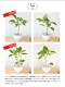 <br><br>����ƥ����� �� �������� �饦��� ƫ��ȭ <br>����ƥ��� �ե����� ������� �ե��ꥴ�� ������ <br>ȭ���� ȭ ��ȭ �� �ۥ磻�� �� ���տ�ʪ ����̵��<br>ʪ