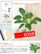 <br><br>����ƥ����� �� �������� �饦��� ƫ��ȭ <br>����ƥ��� �ե����� ������� �ե��ꥴ�� ������ <br>ȭ���� ȭ ��ȭ �� �ۥ磻�� �� ���տ�ʪ ����̵��<br>ʪ
