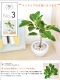 <br><br>����ƥ����� �� �������� �饦��� ƫ��ȭ <br>����ƥ��� �ե����� ������� �ե��ꥴ�� ������ <br>ȭ���� ȭ ��ȭ �� �ۥ磻�� �� ���տ�ʪ ����̵��<br>ʪ