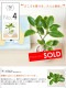 <br><br>����ƥ����� �� �������� �饦��� ƫ��ȭ <br>����ƥ��� �ե����� ������� �ե��ꥴ�� ������ <br>ȭ���� ȭ ��ȭ �� �ۥ磻�� �� ���տ�ʪ ����̵��<br>ʪ