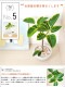 <br><br>����ƥ����� �� �������� �饦��� ƫ��ȭ <br>����ƥ��� �ե����� ������� �ե��ꥴ�� ������ <br>ȭ���� ȭ ��ȭ �� �ۥ磻�� �� ���տ�ʪ ����̵��<br>ʪ