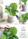 <br><br>����ƥ��ʥ���ӥե��ꥢ�� ������ ���������� <br>ƫ��ȭ ȭ���� ȭ �� ���� ���տ�ʪ ����̵�� <br>���� �� ���졼 �ͤ��� �� �饦��� ����ӥե����ꥢ