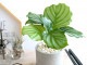 <br><br>����ƥ��ʥ���ӥե��ꥢ�� ������ ���������� <br>ƫ��ȭ ȭ���� ȭ �� ���� ���տ�ʪ ����̵�� <br>���� �� ���졼 �ͤ��� �� �饦��� ����ӥե����ꥢ