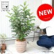 <br><br>���ޥȥͥꥳ �ʥܡ��������� ����ƥ������֥饦�� �ƥ饳�å� ȭ���� <br>��Ω�� �ȥͥꥳ �Ǿ� ƫ��ȭ ȭ �㿧 ��  ������ �١����� <br>�� ���� �緿 8�� �ᥳ�� ���տ�ʪ