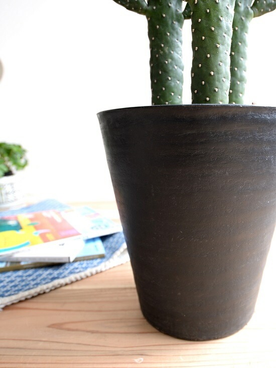 br><br>サボテン （ウチワサボテン） 3F 黒色 セラアート鉢 8号 <br