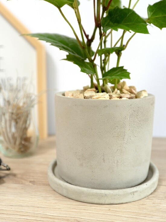 <br><br>���󥬥롼�����ӡ� ������ ���������� ƫ��ȭ <br>���졼�ץ����ӡ� ȭ���� ���� ���� �� �ʤ� ���տ�ʪ ����̵�� <br>�� ���� ���졼 �ͥ��� �� �饦��� �ܡ���