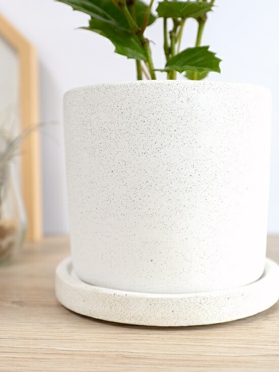 <br><br>���󥬥롼�����ӡ� �� ���������� ƫ��ȭ <br>���졼�ץ����ӡ� ȭ���� ���� ���� �� �ʤ� ���տ�ʪ ����̵�� <br>�� �ۥ磻�� �� �饦��� �ܡ���