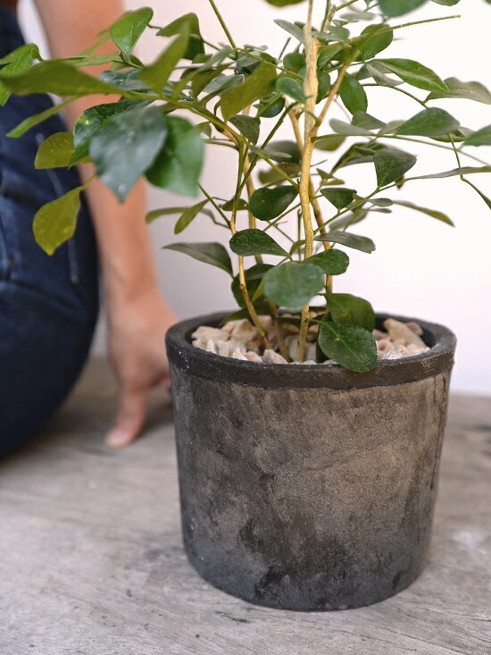 <br>���륯���㥹�ߥ�ʥ��å��ġ� ���� �⥹�ݥå� ���������� ƫ��ȭ��ŷ�����С� <br>���㥹�ߥ� ����󥸥��㥹�ߥ� ��Τ�� ��Τ�� ��Τ�� ɱ��Τ�� <br> ȭ���� ȭ �Ǿ� �ƥ饳�å� <br>�� �֥�å� �� �ݷ� <br>����̵��