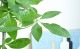 <br><br>�ڴ����� �ѥ����3�ܻ�Ω�ơ� �� ���饢����ȭ 8�� <br>�������ƥ��� �ѥ��餯�󡡥ѥ��(������) ȯ�����������ڡ���������߽Ф�������Ϸ�������ݥ���Ⱦò������տ�ʪ