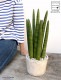 <br>���󥹥٥ꥢ�ʥ����å����� �� �⥹�ݥå� ���������� ƫ��ȭ��ŷ�����С� <br>���󥻥٥ꥢ ��奦���ĥ�� <br>ȭ���� ȭ �Ǿ� �ƥ饳�å� <br>�� �ۥ磻�� ����ƥ������ۥ磻�� �� �ݷ� <br>���տ�ʪ ��ʪ ����̵��
