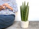 <br>���󥹥٥ꥢ�ʥ����å����� �� �⥹�ݥå� ���������� ƫ��ȭ��ŷ�����С� <br>���󥻥٥ꥢ ��奦���ĥ�� <br>ȭ���� ȭ �Ǿ� �ƥ饳�å� <br>�� �ۥ磻�� ����ƥ������ۥ磻�� �� �ݷ� <br>���տ�ʪ ��ʪ ����̵��