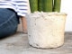 <br>���󥹥٥ꥢ�ʥ����å����� �� �⥹�ݥå� ���������� ƫ��ȭ��ŷ�����С� <br>���󥻥٥ꥢ ��奦���ĥ�� <br>ȭ���� ȭ �Ǿ� �ƥ饳�å� <br>�� �ۥ磻�� ����ƥ������ۥ磻�� �� �ݷ� <br>���տ�ʪ ��ʪ ����̵��