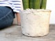 <br>���󥹥٥ꥢ�ʥ����å����� �� �⥹�ݥå� ���������� ƫ��ȭ��ŷ�����С� <br>���󥻥٥ꥢ ��奦���ĥ�� <br>ȭ���� ȭ �Ǿ� �ƥ饳�å� <br>�� �ۥ磻�� ����ƥ������ۥ磻�� �� �ݷ� <br>���տ�ʪ ��ʪ ����̵��