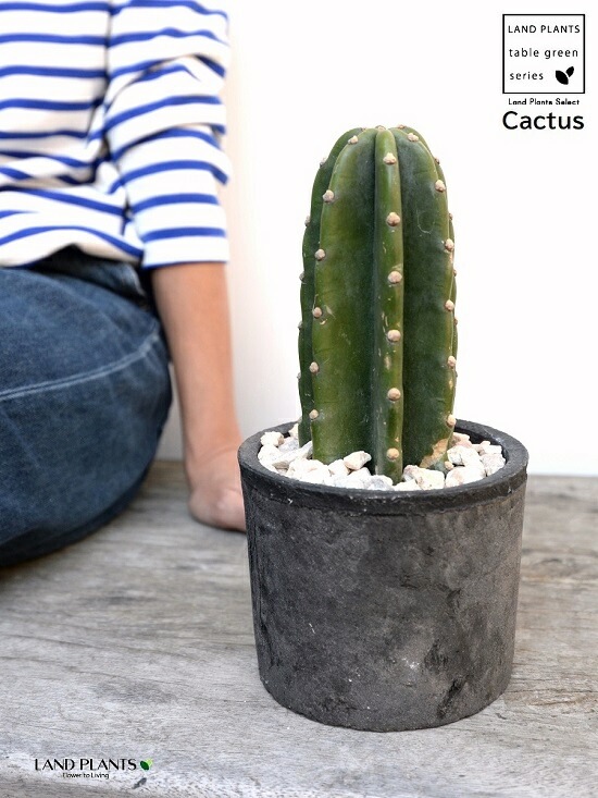 <br>���ܥƥ���쥵�ܥƥ�1��Ω���� ���� �⥹�ݥå� ���������� ƫ��ȭ��ŷ�����С� <br>1F �쥵�ܥƥ� ¿����ʪ �ȥ��ʥ����ܥƥ� ���ʤ����ܥƥ� ��������<br>ȭ���� ȭ �Ǿ� �ƥ饳�å� <br>�� �֥�å� �� �ݷ� <br>���տ�ʪ ��ʪ ����̵��
