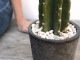 <br>���ܥƥ���쥵�ܥƥ�1��Ω���� ���� �⥹�ݥå� ���������� ƫ��ȭ��ŷ�����С� <br>1F �쥵�ܥƥ� ¿����ʪ �ȥ��ʥ����ܥƥ� ���ʤ����ܥƥ� ��������<br>ȭ���� ȭ �Ǿ� �ƥ饳�å� <br>�� �֥�å� �� �ݷ� <br>���տ�ʪ ��ʪ ����̵��